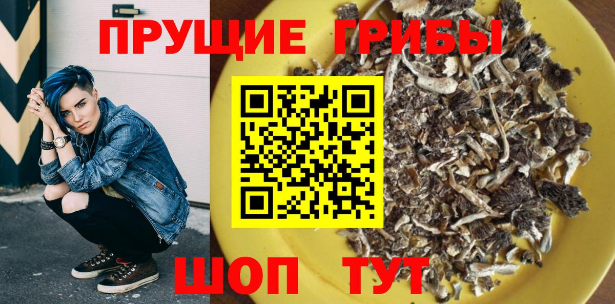Михайловка  Псилоцибиновые грибы Psilocybe  Вход с VPN  Галлюциногенные грибы Magic Shrooms 